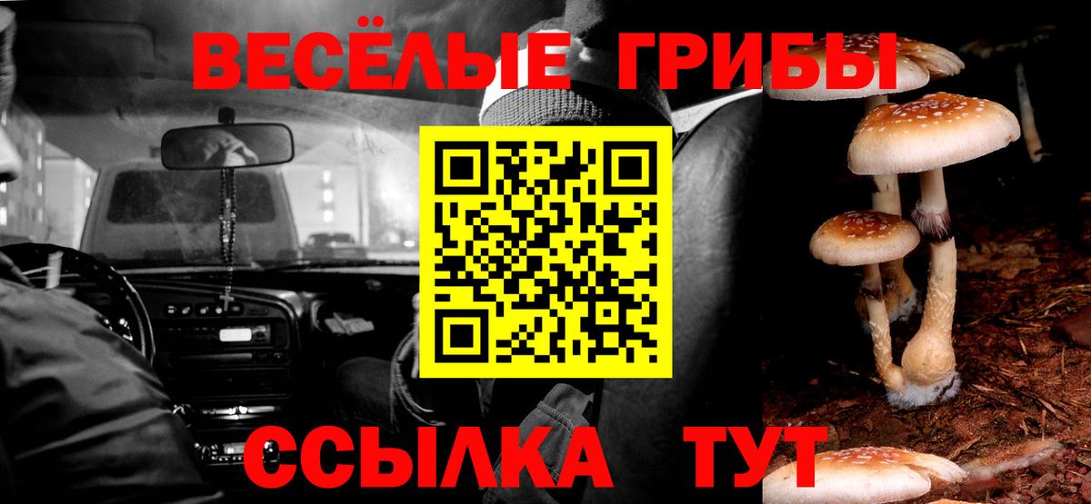 закладки  Псилоцибиновые грибы GOLDEN TEACHER  Шебекино  Вход с VPN  Галлюциногенные грибы Cubensis 